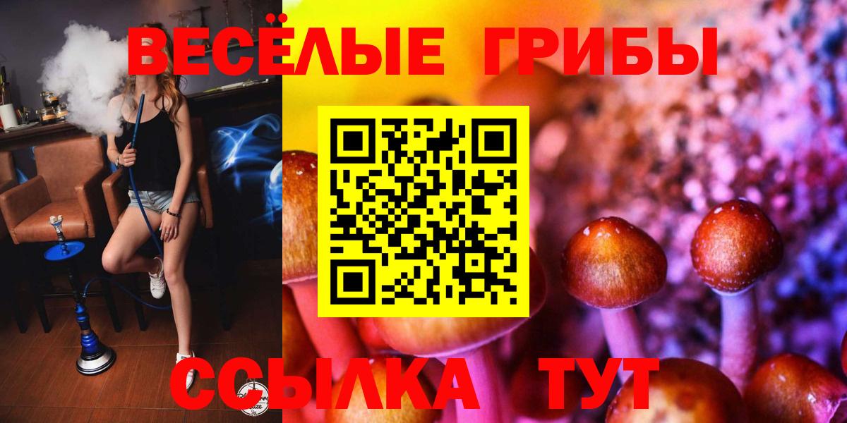 Галлюциногенные грибы прущие грибы  Вход с VPN  Псилоцибиновые грибы GOLDEN TEACHER  Вольск 