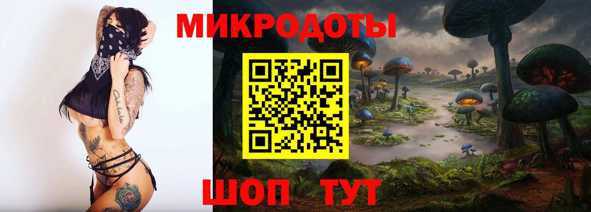 Галлюциногенные грибы Psilocybine cubensis Вольск